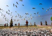 fish hunter